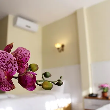 Szálloda Pera Main Isztambul