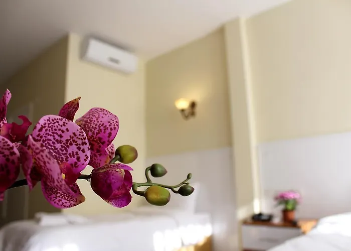 Otel Pera Main İstanbul