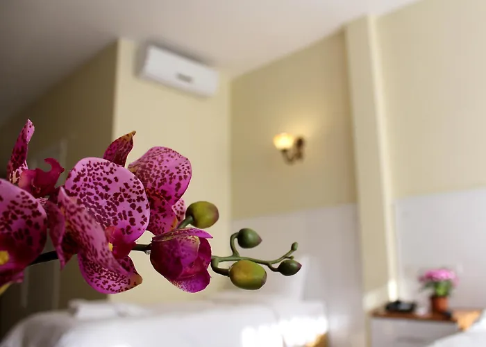 Pera Main Otel İstanbul